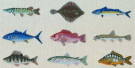BAHMANN バーマン Fische in Petit Point プチポワンの魚 10B プチポワン キット ドイツ 刺しゅう 30-9007,01 